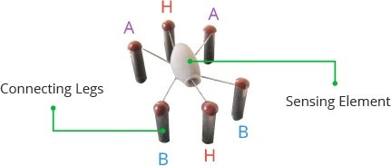 MQ3-Alcohol-Sensor-Internal-Structure.jpg