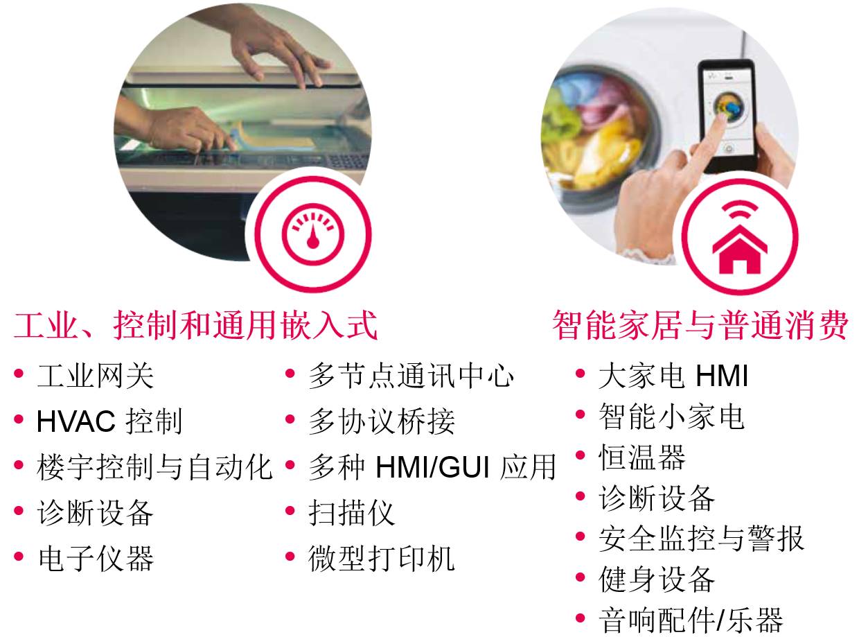 LPC541xx主要应用之一.jpg