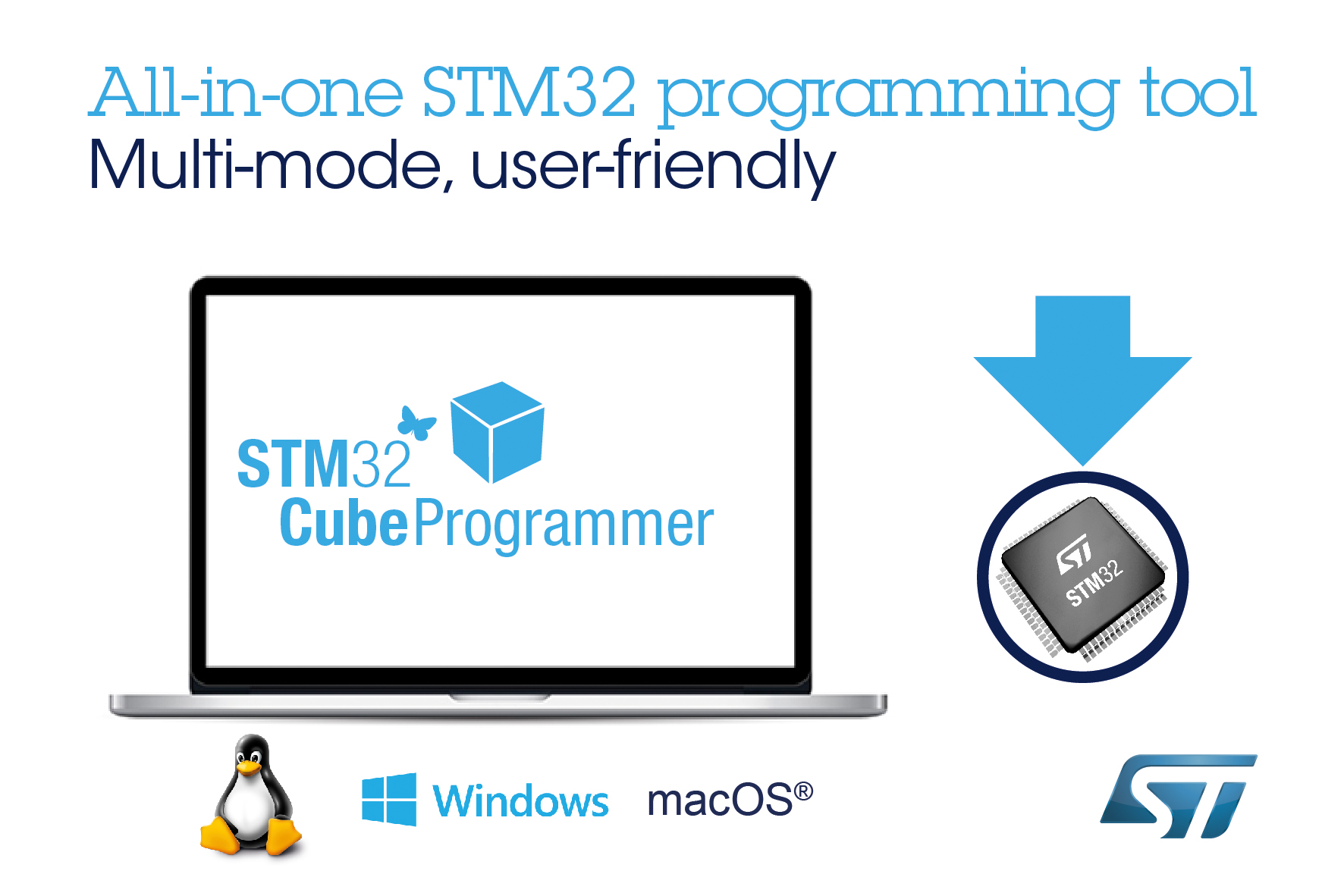 en.STM32CubeProgrammer_N4005S_big.jpg