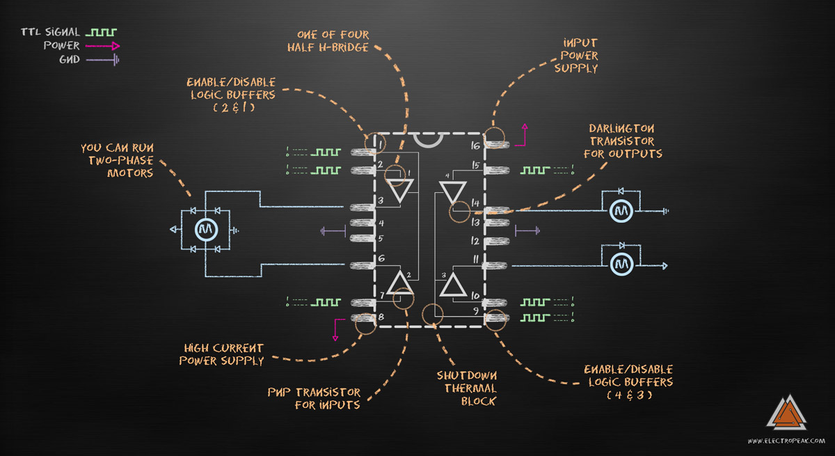 Diagraml-1200.jpg