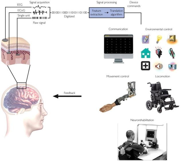 Components-of-Brain-Computer-Interface-BCI-System.jpg