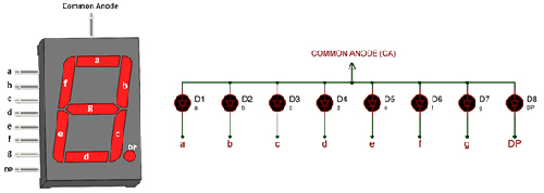 Common-Anode-type-SSD.jpg