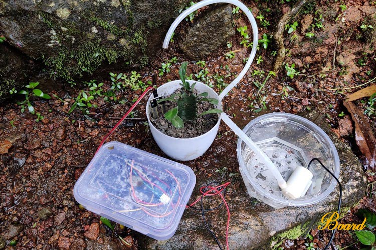 Automatic-Irrigation-System-using-an-Arduino-Uno.jpg