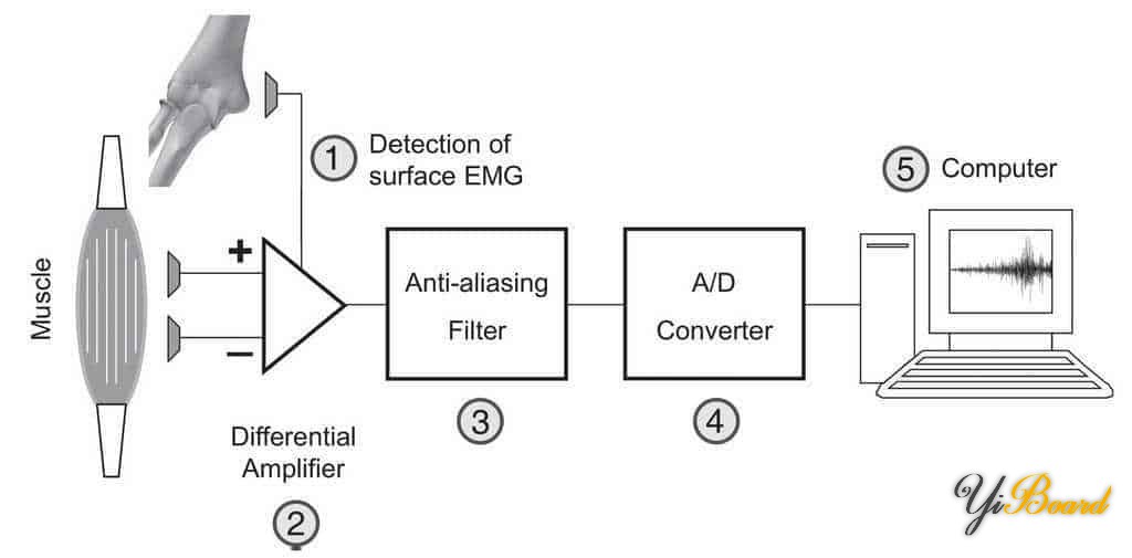 EMG-Measurement.jpg